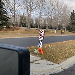 Sign on Street, Lane, Sidewalk - Request for New at 16202 Mckenzie Lake Wy SE