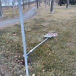 Sign on Street, Lane, Sidewalk - Repair or Replace at 5356 Brisebois Dr NW