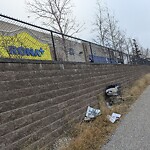 Debris on Street, Sidewalk, Boulevard at 124 7 Ave SE