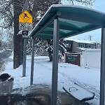 Bus Stop - Shelter Concern at 5920 Norfolk Dr NW