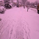 Snow On City - Maintained Sidewalk at 201 Cranston Rd SE