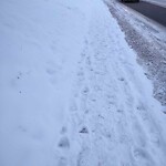 Snow On City - Maintained Sidewalk at 27 Haddon Rd SW