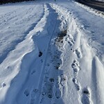 Snow On City - Maintained Sidewalk at 6391 Silver Springs Ga NW