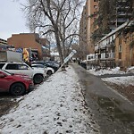 Sign on Street, Lane, Sidewalk - Repair or Replace at 1002 16 Av SW