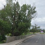 Tree Maintenance - City Owned at 1818 1 St SE