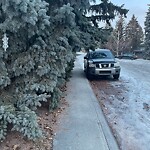 Tree Maintenance - City Owned at 7328 Kananaskis Dr SW