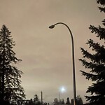 Streetlight Burnt out or Flickering at 3811 44 St SW