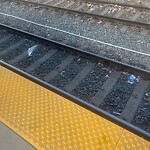 CTrain Stations - Cleanliness or Vandalism at 1887 14 Av NW