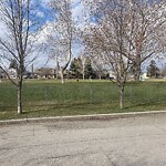 Wildlife Sightings at 626 53 Av SW