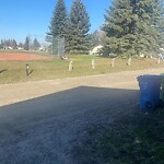 Road Signs on Street, Lane, Sidewalk - Repair or Replace at 532 Queensland Pl SE