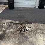 Backlane Maintenance at 705 52 Av SW