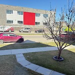 Spring Street Cleaning at 127 Silverado Dr SW