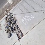 Debris on Street, Sidewalk, Boulevard at 76 Ave SE & 18 St SE Ogden Calgary