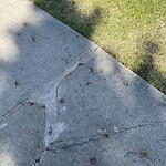 Sidewalk or Curb - Repair at 2335 Woodview Dr SW